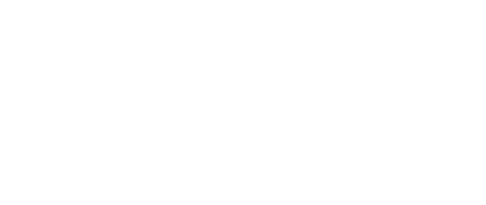 Wüster Projekte